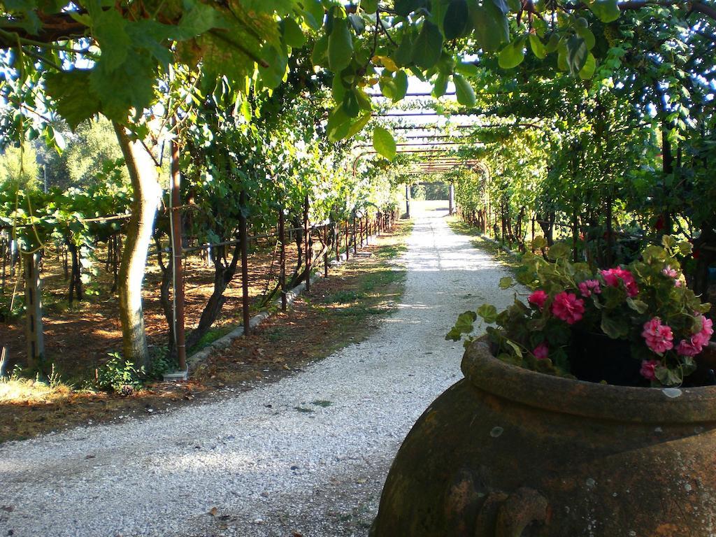 Valle Degli Arci Castel Madama Extérieur photo